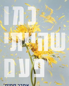 כמו שהייתי פעם