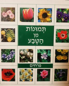 תמנות מן הטבע – פרחים