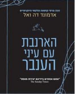 הארנבת עם עיני הענבר