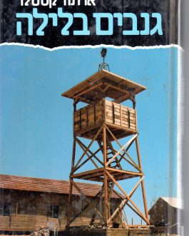 גנבים בלילה