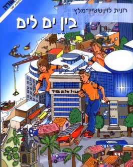 בין ים לים