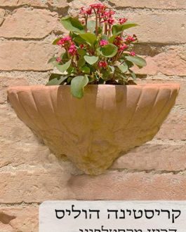 הרוזן מקסטלפינו