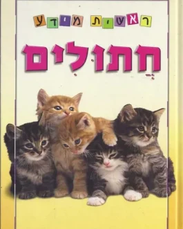 ראשית מידע – חתולים