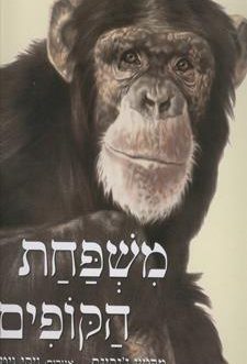 משפחת הקופים