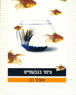 צימר בגבעתיים