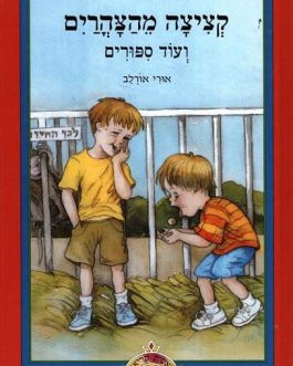 קציצה מהצהרים