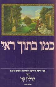 כמו בתוך ראי