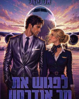 לפגוש את מר אנדרסון