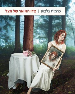 צדו המואר של הצל